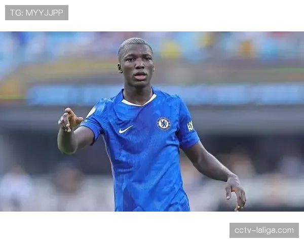 厄瓜多尔凯塞多切尔西防守屏障 厄瓜多尔中场硬汉英超适应良好